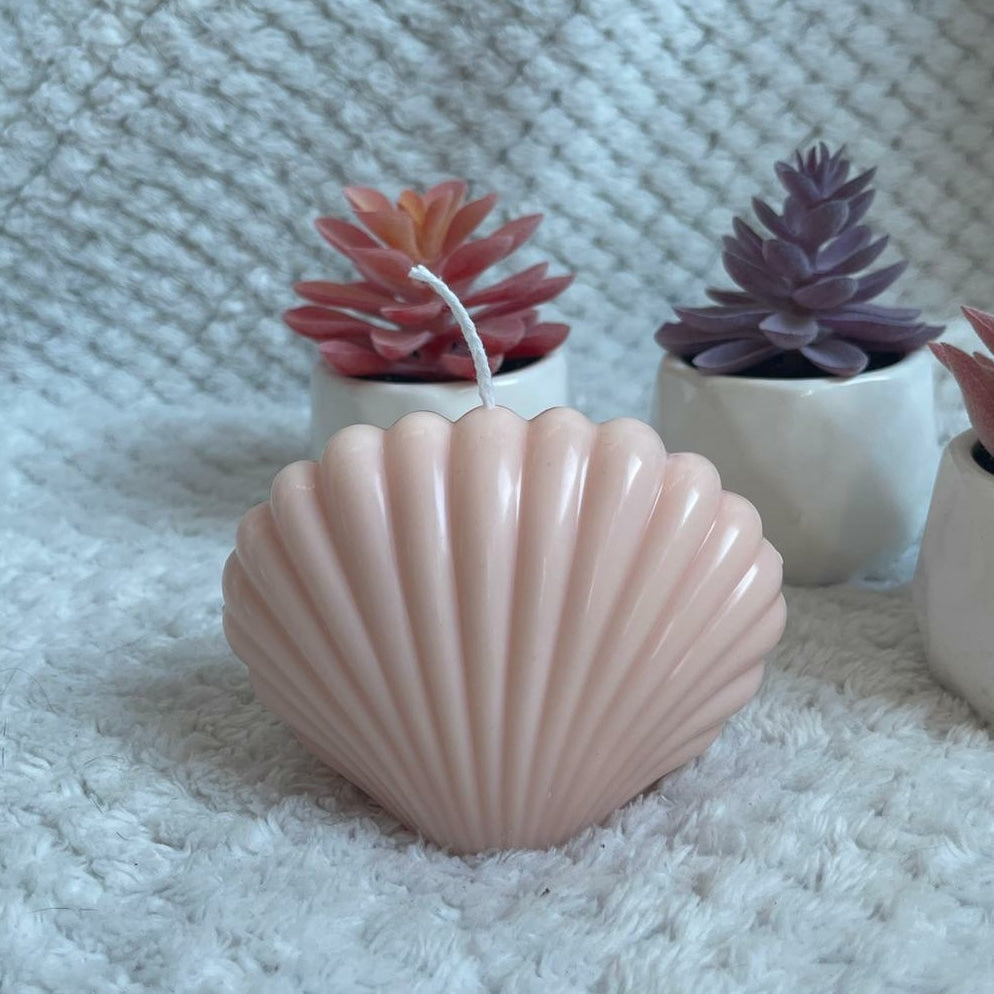 Seashell