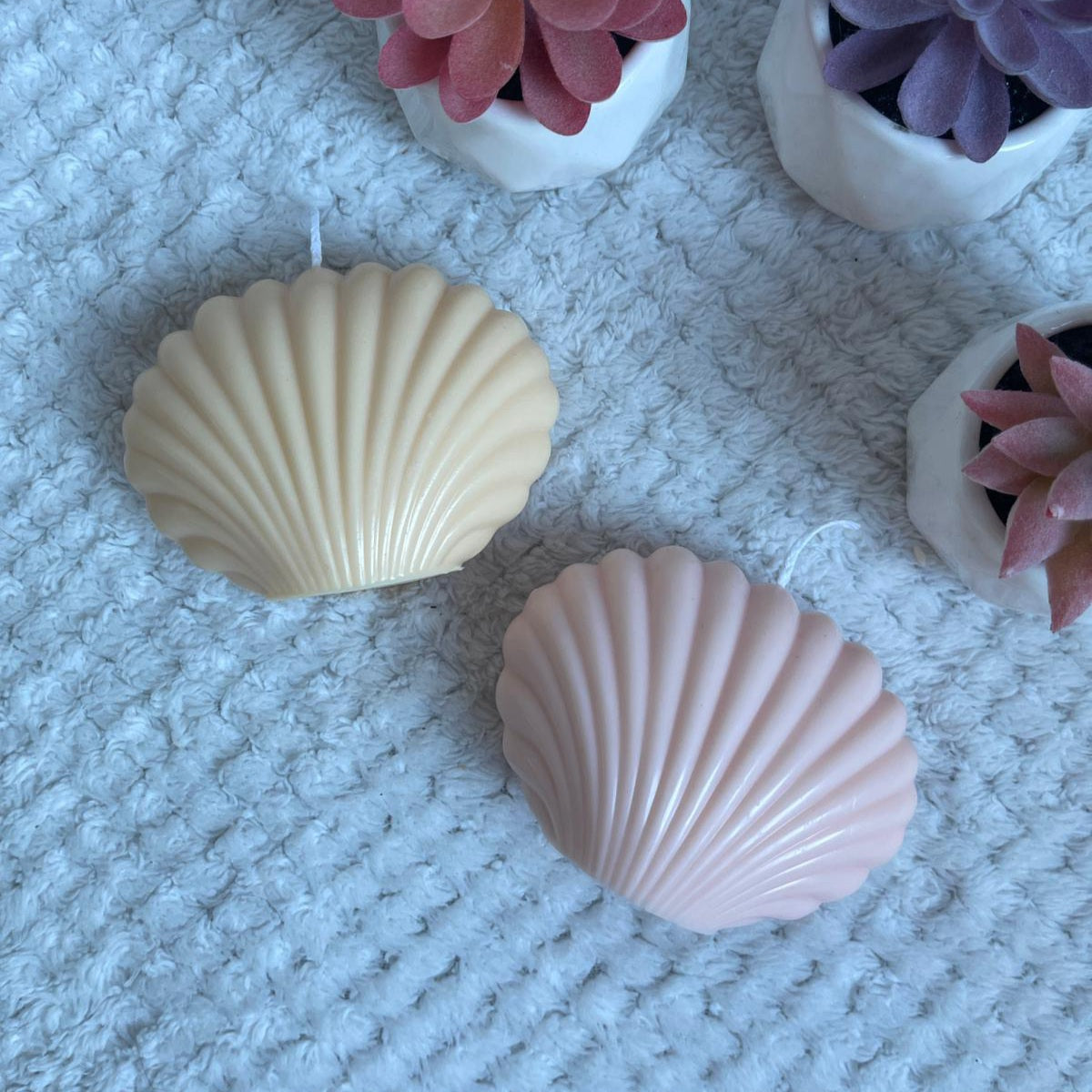 Seashell