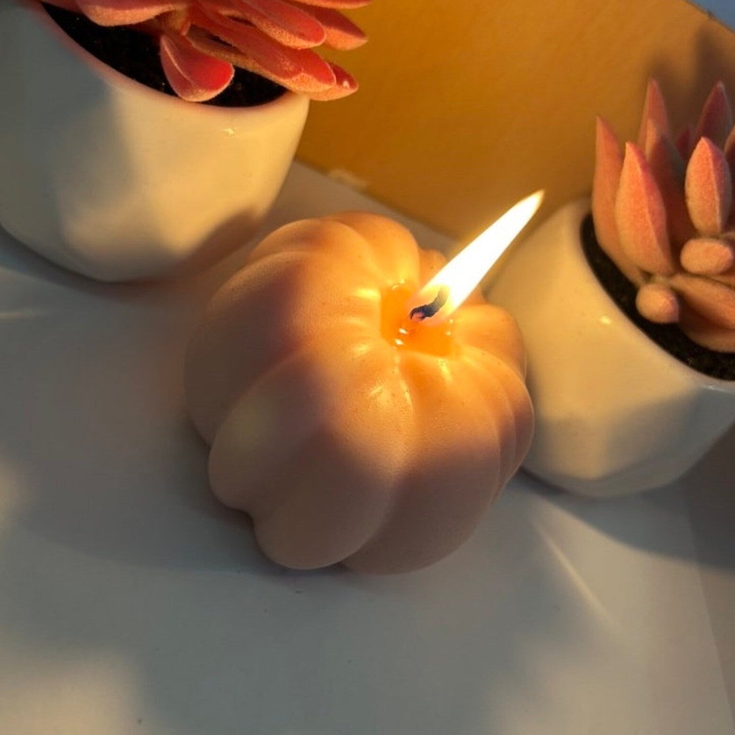 Baby Pumpkin