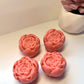 4 x Mini Roses